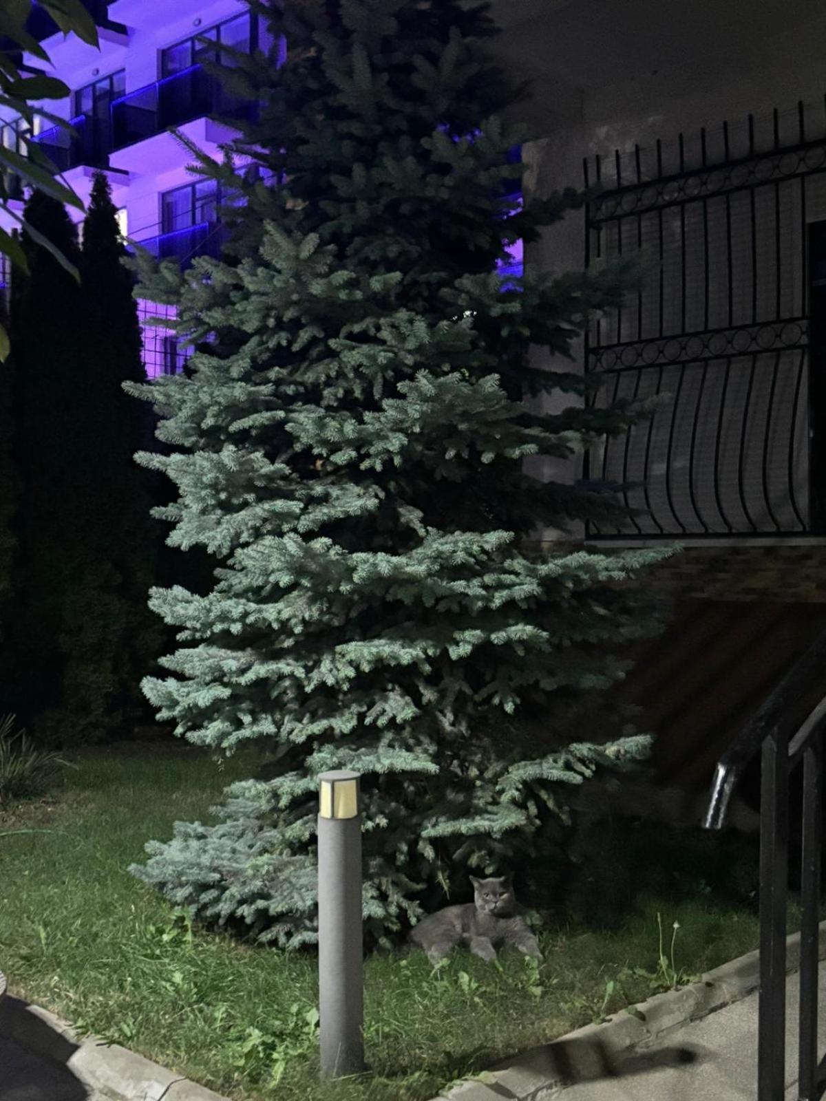 D&H 호텔 Năvodari 외부 사진